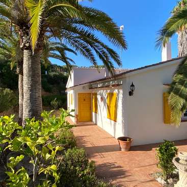 The image depicts a white house with yellow accents, surrounded by palm trees and lush greenery, set against a clear blue sky on a sunny day.
