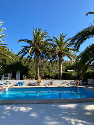 Das Bild zeigt eine heitere Poolszene mit Palmen, einer weißen Wand und einem klaren blauen Himmel, die ein Gefühl von Entspannung und Ruhe hervorruft.