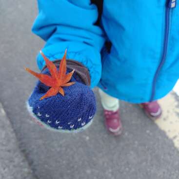 L'image représente la main d'un enfant, vêtue d'une mitaine bleue, qui saisit une feuille d'érable d'un rouge éclatant. L'enfant est vêtu d'une veste bleue et de chaussures rouges.