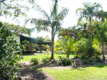 La imagen representa un sereno jardín tropical con una casa y un patio al fondo, rodeados de exuberante vegetación y palmeras.