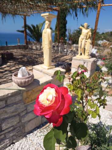 Uma rosa vermelha e branca vibrante em primeiro plano, com estátuas em estilo grego, muro de pedra, pérgola e um céu azul claro com vista para o mar ao fundo.