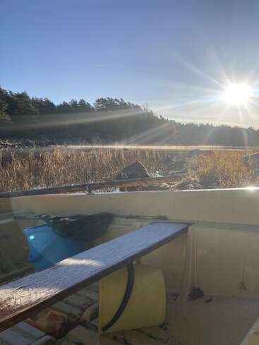 Um pequeno barco amarelo com equipamento de pesca está sentado em um lago, cercado por grama alta. A luz do sol e a neblina criam uma cena serena no início da manhã.