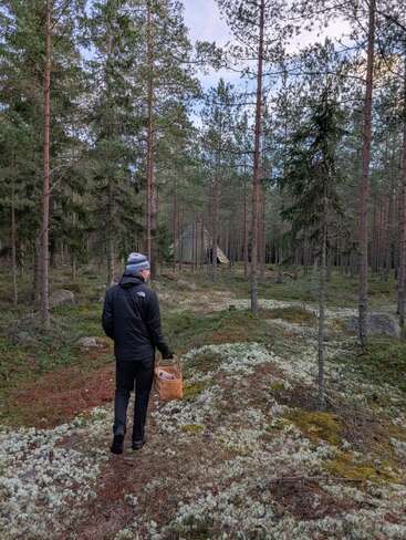 Una persona con chaqueta y sombrero camina por un apacible bosque llevando una cesta. Los rodean pinos y delante se ve una pequeña cabaña.