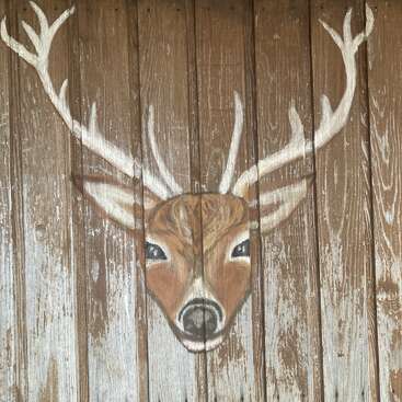 Esta imagen muestra una pared rústica de madera con una cabeza y astas de ciervo pintadas a mano. La madera está desgastada, creando un aspecto encantador, natural y campestre.