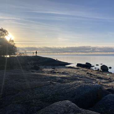 A serene coastal scene at sunrise, with rocky shoreline, calm water, and a solitary person standing on a hill, framed by trees and a glowing sky.