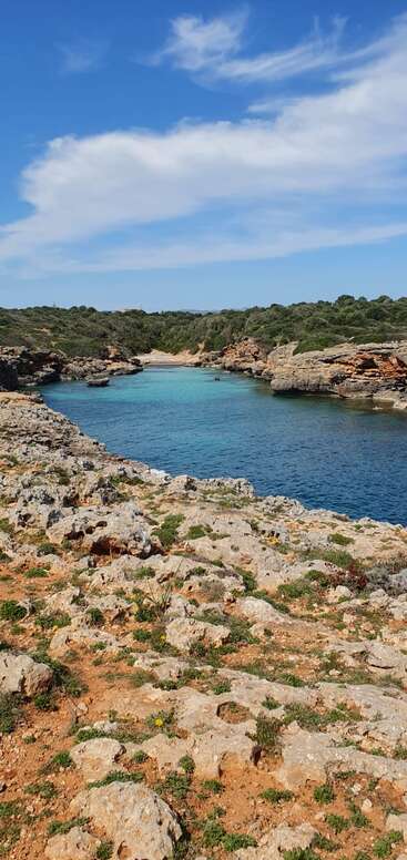 The image depicts a serene coastal scene, featuring a body of water with a rocky shoreline, surrounded by lush greenery and a clear blue sky.