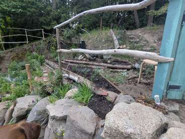 Ein rustikaler Garten mit Felsen, einem Holzzaun, Stufen, verschiedenen Pflanzen und einem Hauch von einem braunen Hundekopf in der unteren linken Ecke. Wald im Hintergrund.