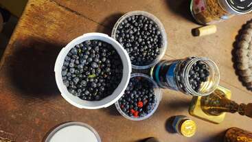 Vier mit frischen Heidelbeeren gefüllte Schalen stehen auf einem Holztisch, dazu ein Glas, Flaschenverschlüsse, eine Lampe und kleine Dekoartikel – das ergibt ein rustikales Bild.