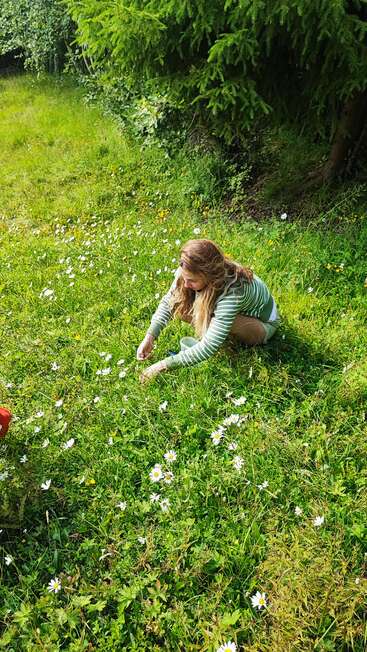 Eine junge Frau sitzt auf saftig grünem Gras, pflückt Wildblumen auf einer sonnenbeschienenen Wiese in der Nähe dichter immergrüner Bäume und genießt einen friedlichen Moment in der Natur.