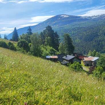 Ein friedlicher, grasbewachsener Hang, übersät mit Wildblumen, fällt sanft zu rustikalen Hütten ab, die sich zwischen den Bäumen verstecken. Im Hintergrund erheben sich bewaldete Berge unter einem strahlend blauen Himmel.