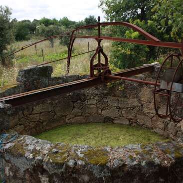 A imagem mostra um poço antigo com uma parede de pedra e uma grade de metal, com uma corda e alças de madeira, cercado por uma área gramada com algumas árvores ao fundo.