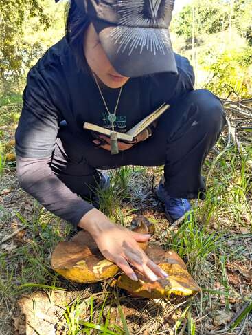 A person squats outdoors touching a large mushroom, holding an open notebook and pen, dressed in dark clothing and a cap, surrounded by grass and trees.