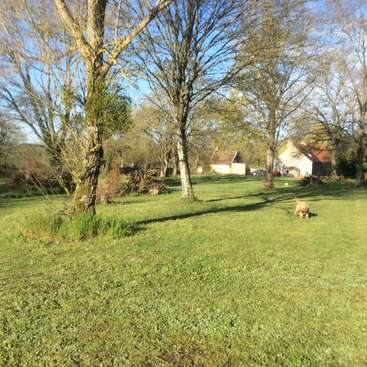L'image représente un paysage rural serein composé d'un champ herbeux, d'arbres et d'un petit chien, avec quelques bâtiments en arrière-plan.
