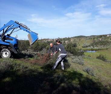Dos personas utilizan un tractor azul para cavar o desbrozar en una ladera cubierta de hierba, rodeada de vegetación verde y un paisaje soleado con un estanque.