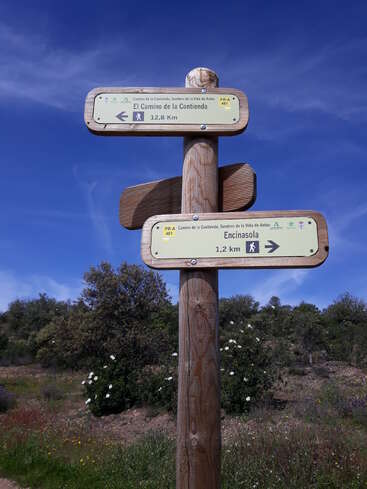Un poste de madera con indicaciones de senderismo se alza bajo un cielo azul despejado, indicando "El Camino de la Contienda" y "Encinasola" en medio de un entorno natural y florido.