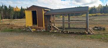 Um galinheiro rústico de madeira com um corredor de tela de arame fica em uma clareira, cercado por pedras e rodeado por uma floresta sob um céu parcialmente nublado.