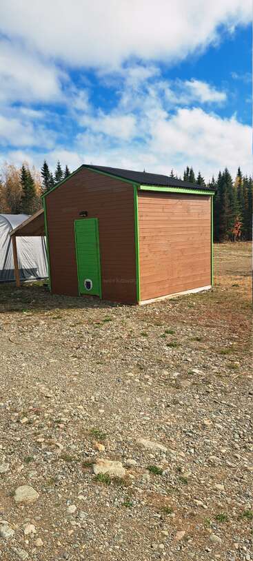 Um pequeno galpão de madeira com acabamento verde e uma porta verde fica em um terreno rochoso, cercado por árvores e sob um céu azul parcialmente nublado.