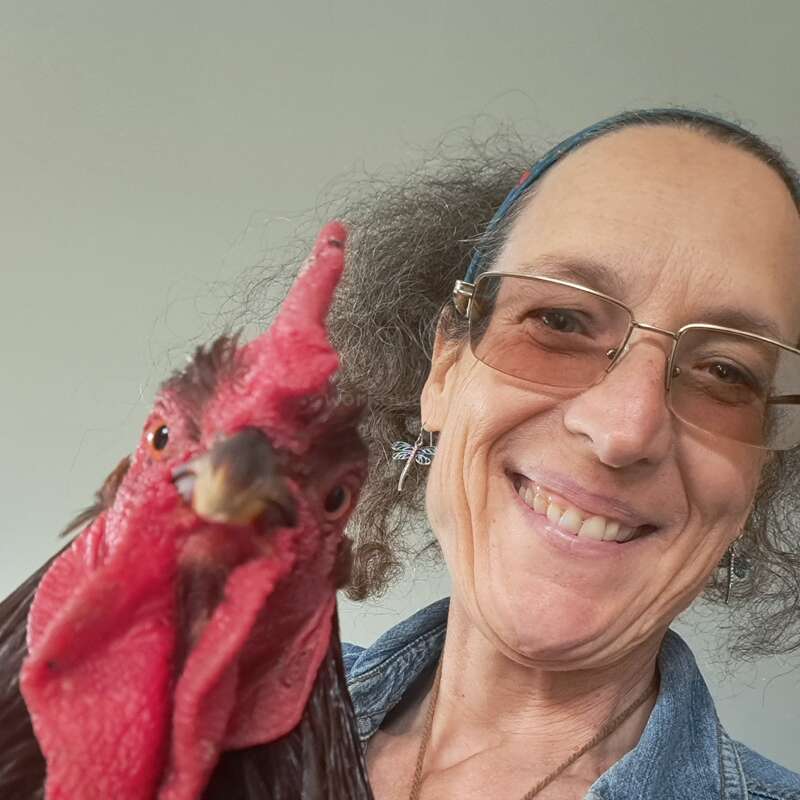 Uma mulher sorridente, com cabelos cacheados e óculos, tira uma selfie com um galo vermelho. Ambos parecem felizes, próximos e confortáveis juntos em um fundo liso.