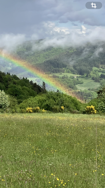 A vibrant rainbow arches across a lush green landscape, with wildflowers in the foreground and misty clouds hovering above the tree-covered hills and valleys.