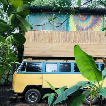 L'image représente une camionnette jaune et bleue vibrante garée devant un bâtiment coloré, entouré de verdure luxuriante et de plantes tropicales.