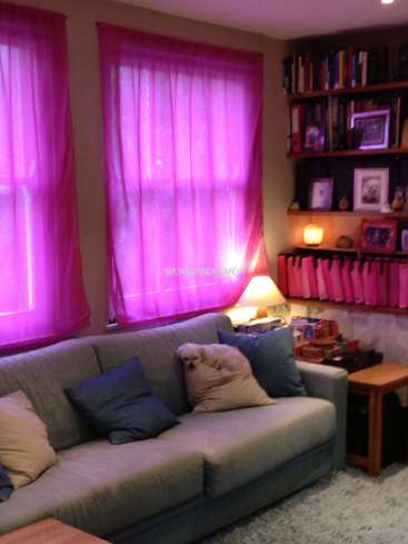 The image depicts a cozy living room with a gray couch, pink curtains, and a bookshelf, featuring a warm and inviting atmosphere.