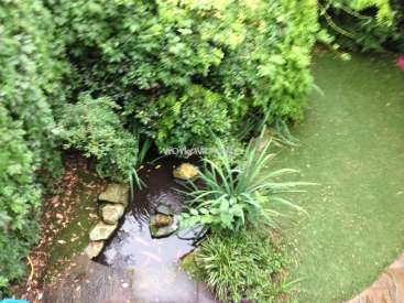 The image depicts a serene garden scene, featuring a small pond with rocks and plants, surrounded by lush greenery and a grassy area.