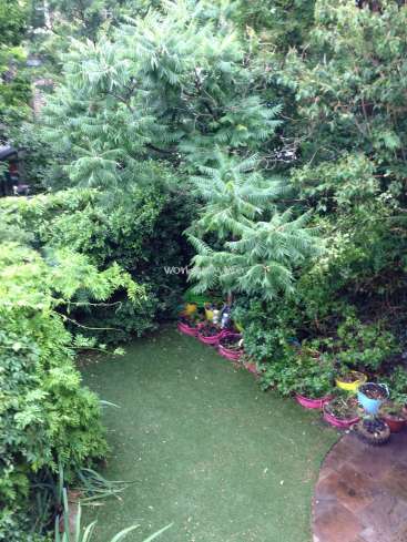 The image depicts a lush, verdant garden with a winding path, featuring a variety of plants and trees, and a subtle watermark reading "worldofgarden".