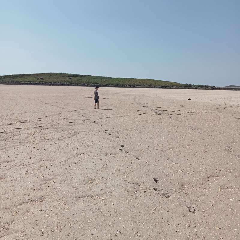 A person stands alone on a vast, sandy beach under a clear blue sky. Distant green hills lie in the background, footprints scattered across the sand.