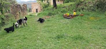 Un jeune enfant joue dans un bac à sable entouré d'herbe verte, tandis qu'un chat, deux chiens et une poule se promènent à proximité, près de bâtiments rustiques en pierre et d'arbres.