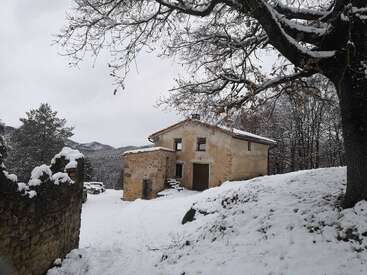 Une maison rustique en pierre se dresse au milieu d'un paysage et d'arbres recouverts de neige. Les branches dénudées et le ciel nuageux évoquent une scène hivernale paisible et sereine dans la nature.