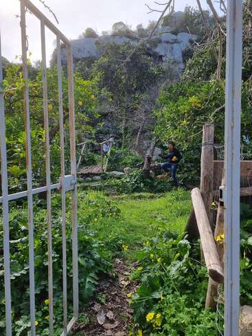 A metal gate opens to a lush, green garden with trees and yellow flowers. Two people are visible, one standing and one gathering fruit.