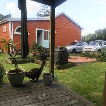 Eine flauschige Katze steht neben einer Topfpflanze und einer Gießkanne auf einer Holzveranda mit Blick auf einen Garten mit einem orangefarbenen Haus und geparkten silbernen Autos.
