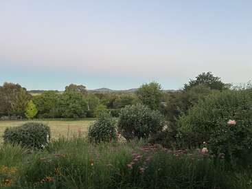 Ce paysage paisible met en scène une variété d'arbres à la végétation luxuriante, des collines au loin, des fleurs sauvages et des roses au premier plan, sous un ciel clair aux teintes pastel au crépuscule.