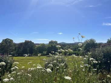 Un ciel d'un bleu éclatant illumine un paysage verdoyant. Des fleurs sauvages s'épanouissent au premier plan, tandis que les arbres et les collines au loin viennent compléter cette paisible scène champêtre.