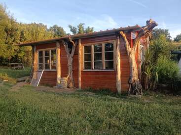 A rustic wooden cabin stands in a grassy area, featuring large windows and unique vertical tree trunks as support beams, surrounded by greenery and natural sunlight.