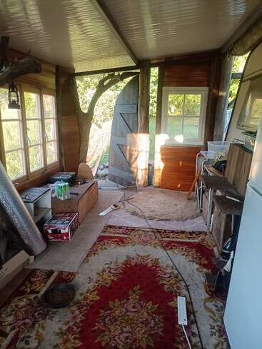A cozy, rustic room with wood walls, a tree incorporated into the structure, vintage red floral carpet, large windows, open door, and various household items scattered around.