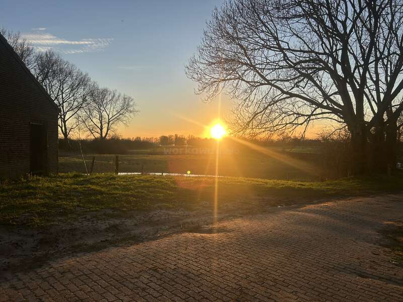 The image captures a stunning sunset over a rural landscape, with leafless trees, an old building, green grass, and warm sunlight illuminating a serene scene.