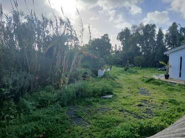 A lush green garden with tall grasses and trees is shown, sunlight breaking through the clouds, and a white house stands on the right side. Peaceful atmosphere.