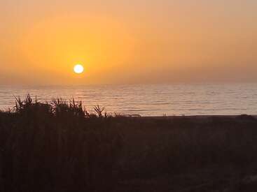 La foto muestra una hermosa puesta de sol sobre el océano, con la luz dorada del sol reflejándose en las olas y siluetas de plantas en primer plano, creando una escena apacible.