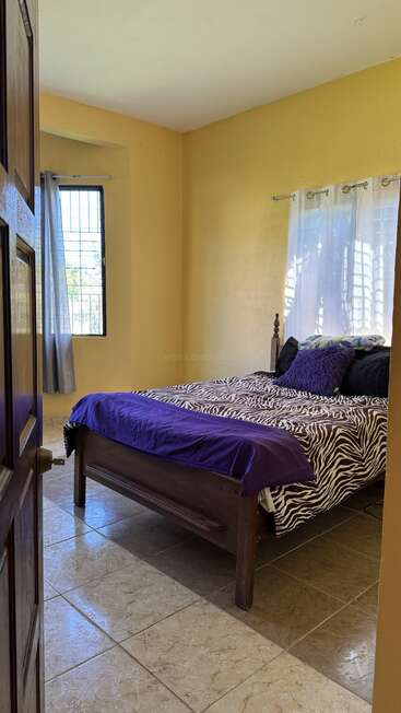 A imagem mostra um quarto aconchegante com paredes amarelas, uma janela com cortinas transparentes, uma cama com roupa de cama com estampa de zebra, detalhes em roxo e piso de ladrilhos.