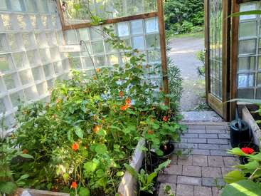 This image shows a sunlit greenhouse with glass block walls, lush green plants, orange flowers, raised garden beds, open wooden doors, and a watering can.