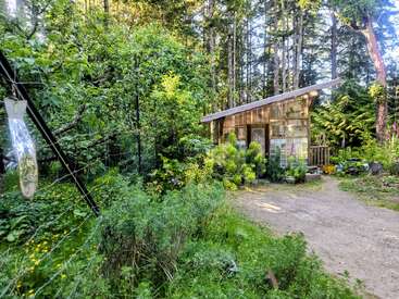 A rustic wooden cabin sits in a lush, green forest clearing, surrounded by dense foliage and wildflowers. Sunlight filters through tall trees, creating a serene atmosphere.