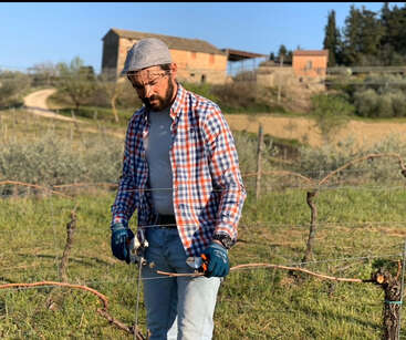 A man wearing a checkered shirt and cap is pruning grapevines in a vineyard on a sunny day, with rustic farm buildings in the background.