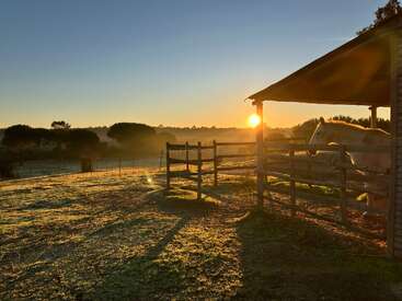Un amanecer arroja luz dorada sobre una escena rural de granja, iluminando un caballo blanco en un corral de madera, campos cubiertos de hierba y árboles lejanos bajo un cielo despejado.
