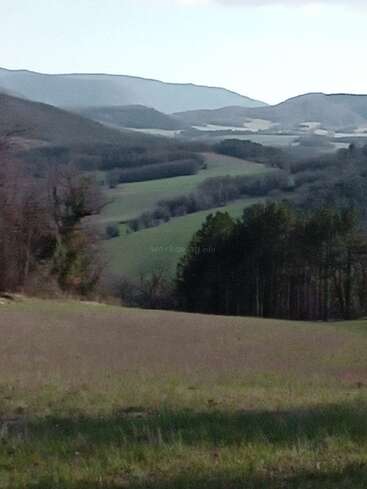 Los ondulados campos verdes se extienden hacia las lejanas y brumosas montañas. Los árboles bordean las suaves colinas, bajo un cielo pálido. La naturaleza se percibe tranquila, inmensa y serena en este paisaje.