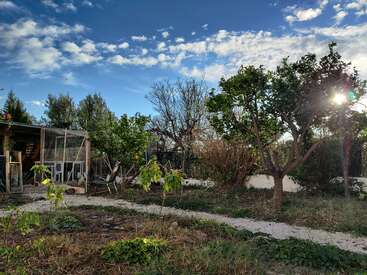 The image depicts a serene garden scene with a greenhouse, trees, and a gravel path, set against a blue sky with white clouds.