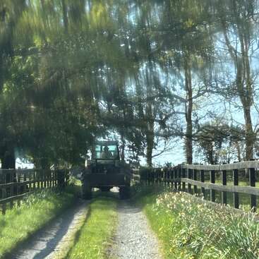 A tractor drives down a narrow country lane bordered by wooden fences and green foliage, with sunlight streaming through trees, creating a dreamy, blurred effect.