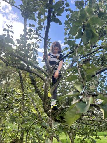 A smiling child wearing glasses and a striped shirt climbs a leafy tree, surrounded by green foliage under a bright blue sky with scattered clouds.