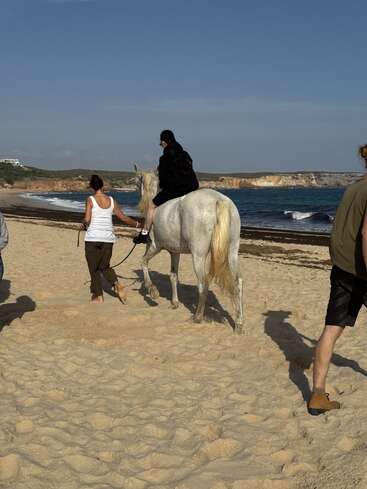A person in black rides a white horse along a sandy beach, accompanied by others walking. The ocean, cliffs, and blue sky complete the serene scene.