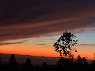 A beautiful sunset colors the sky with orange and deep blue hues. Silhouetted trees stand quietly beneath dramatic streaks of clouds, creating a peaceful atmosphere.
